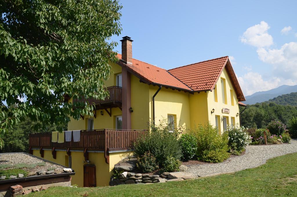 Maison d'hôtes Pensiunea Arpasel *